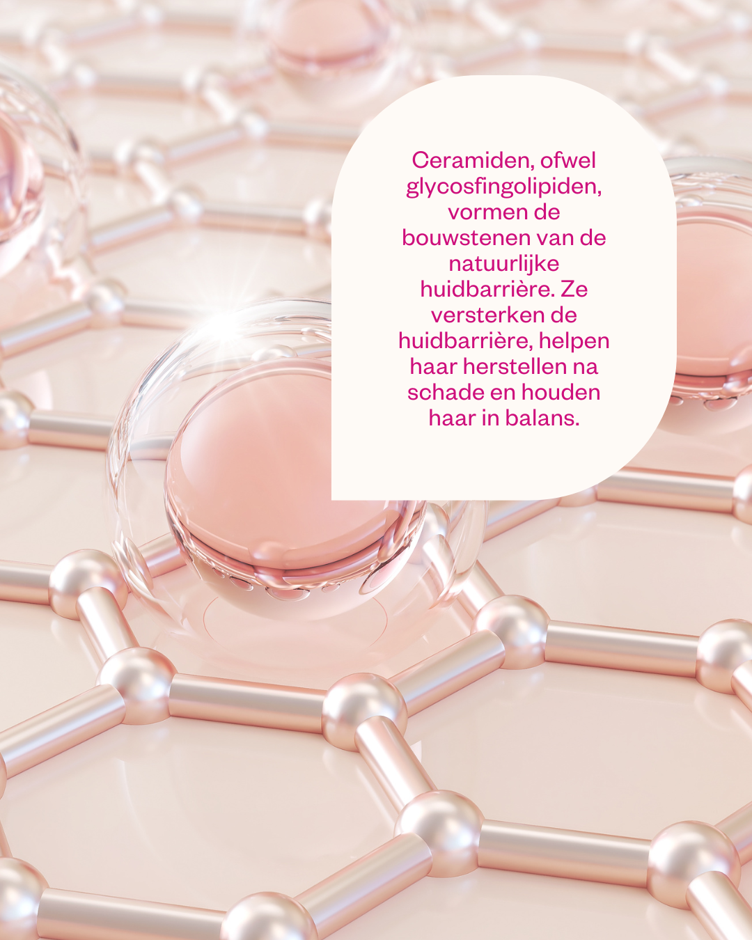 Crème aux Céramides et Probiotiques - Flow Cosmetics - 50 ml