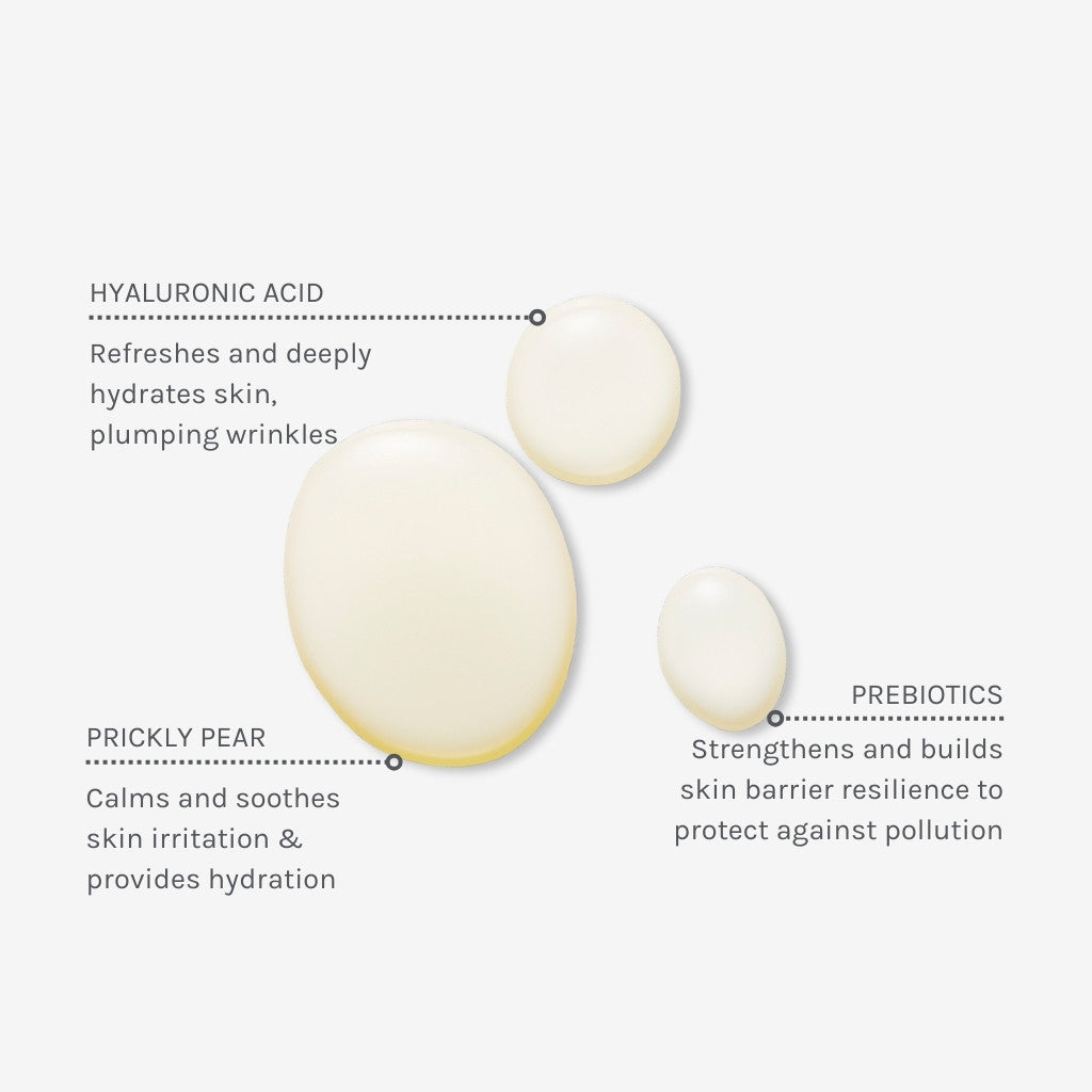 Brume hydratante Daily Defense - Evolve