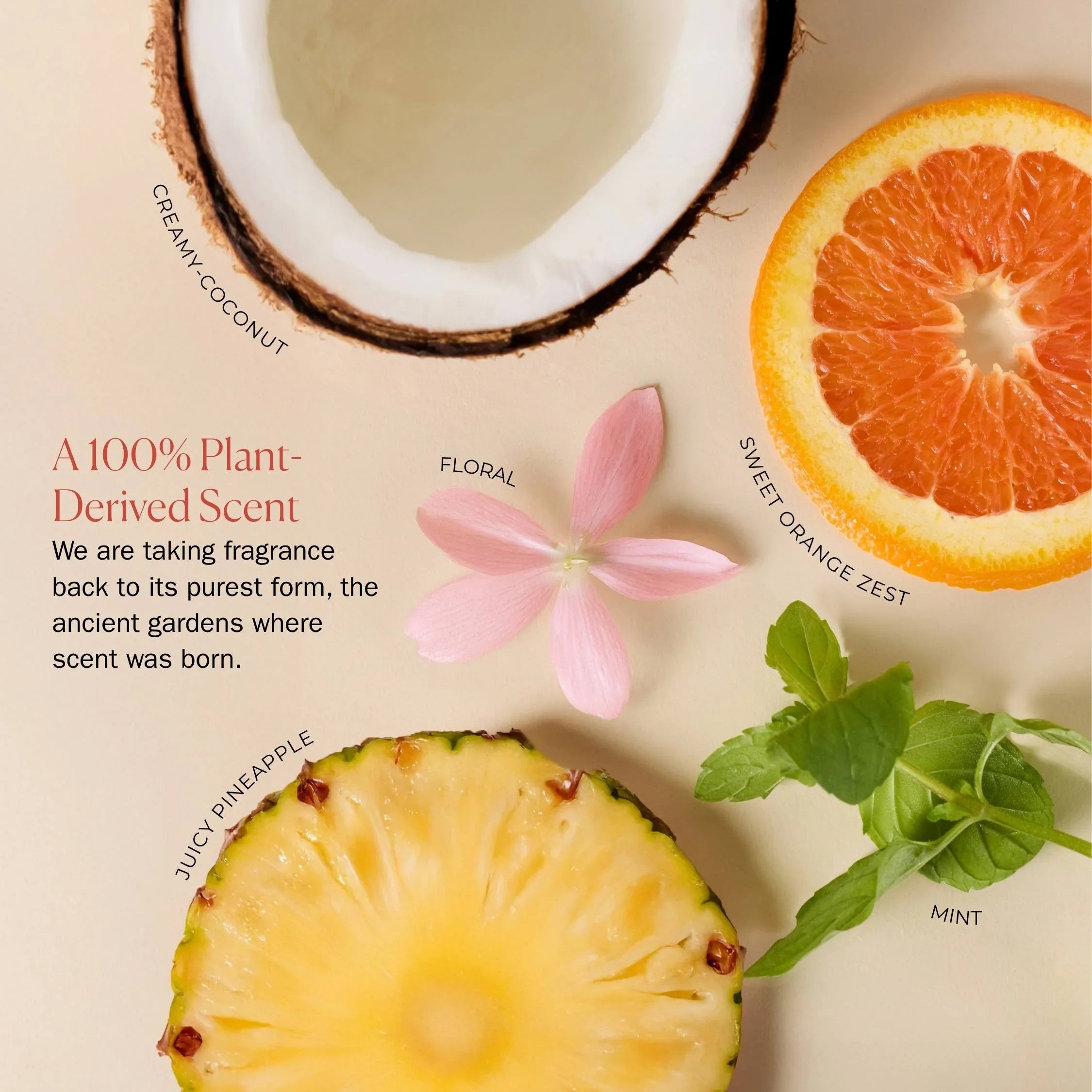 Bounce Curl Hydra-Lite Styling Cream, 237 ml